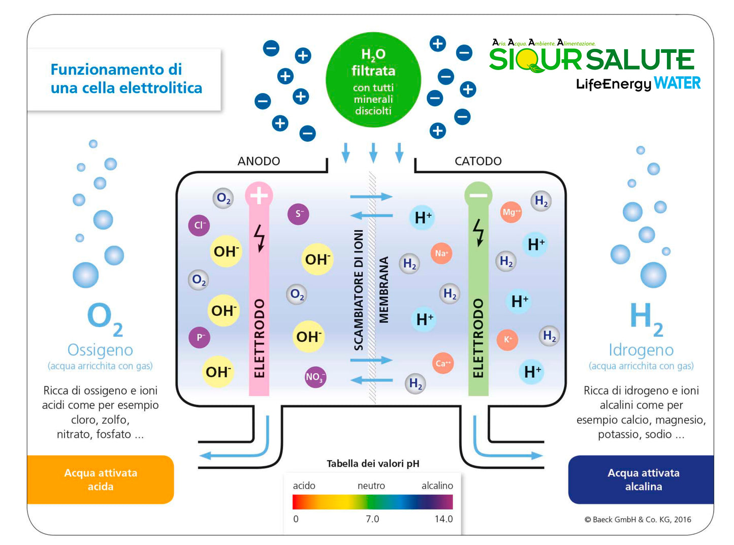 Purifier&Ionizer of water LifeEnergy WATER