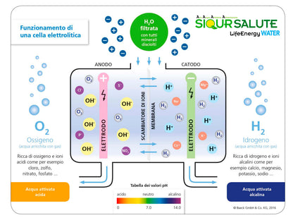 Purifier&Ionizer of water LifeEnergy WATER